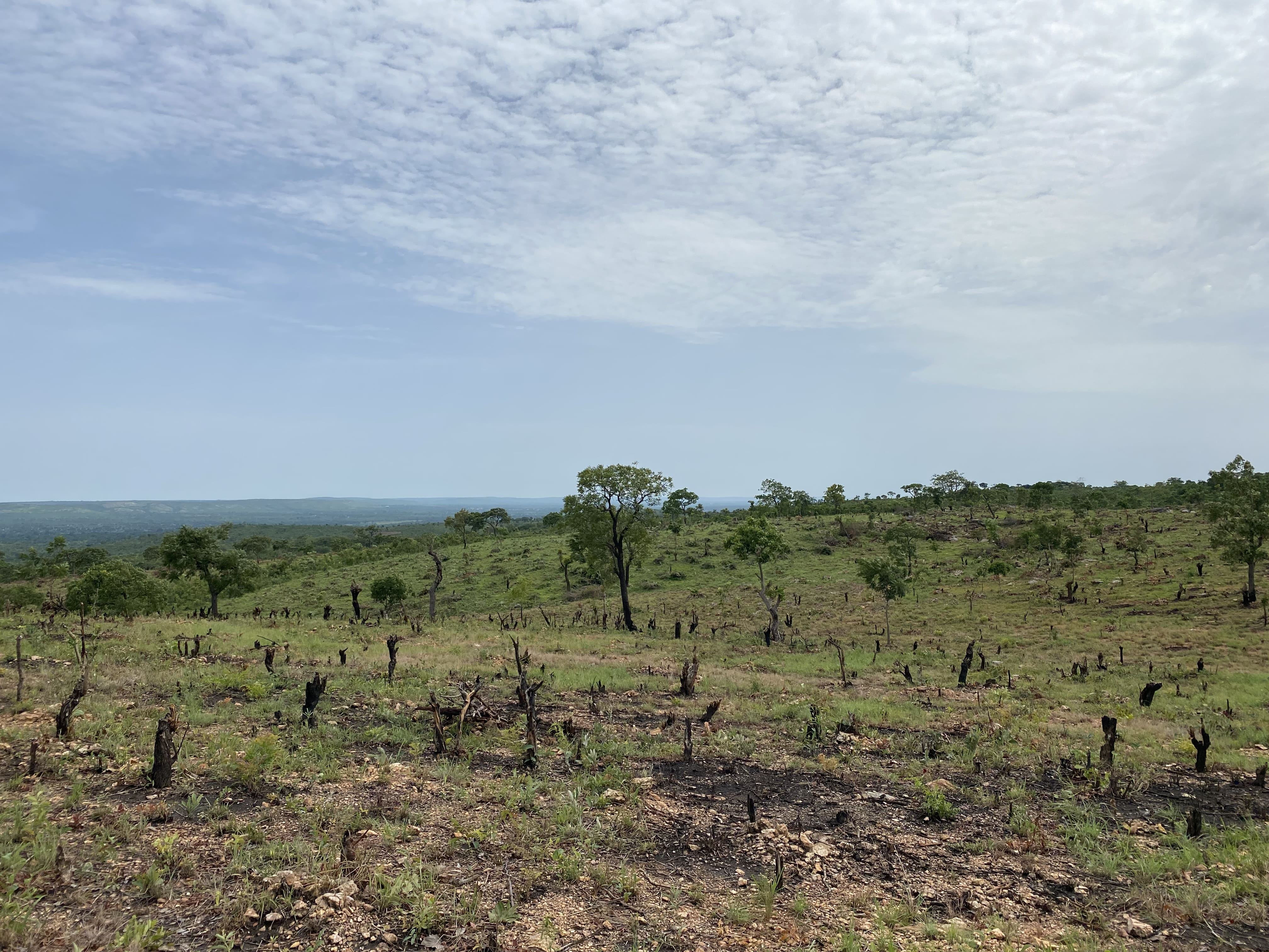 Landscape