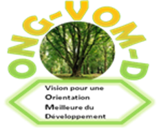 A Vision for Better Development Guidance